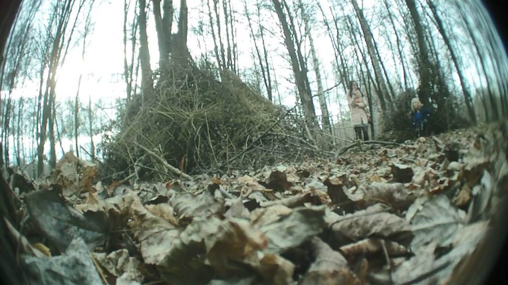 Girls Peeing In The Woods 29