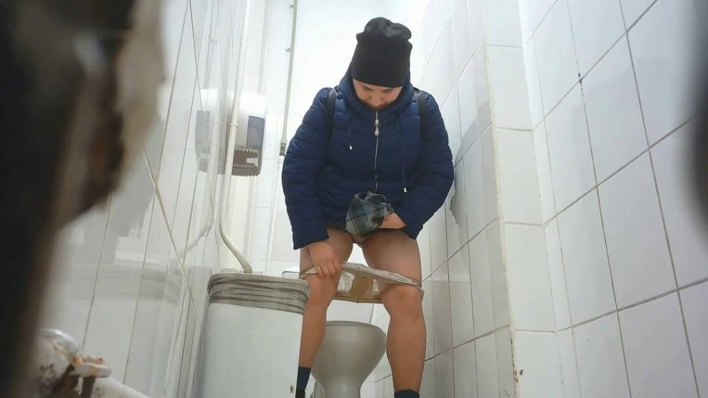 Shopping Mall Toilet 47