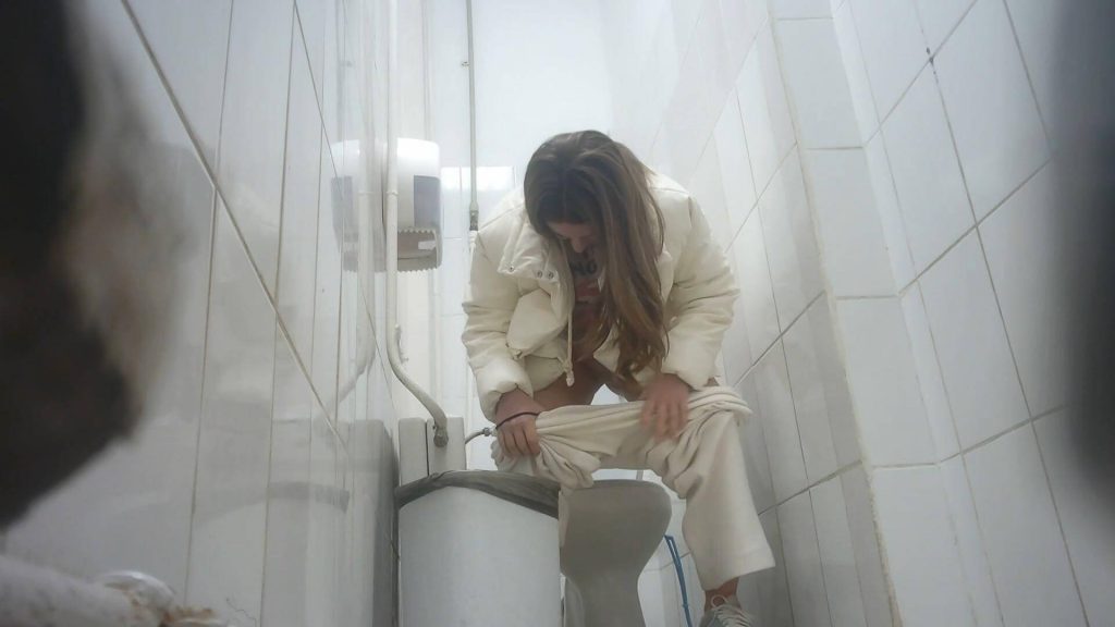 Shopping Mall Toilet 60