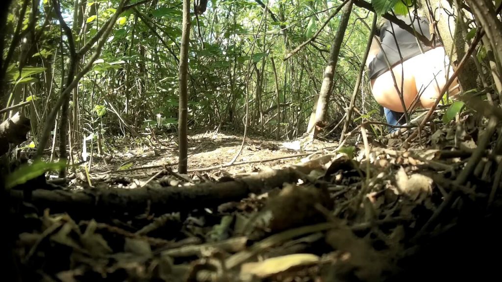 Girls Peeing In The Woods 59